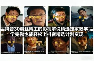 抖音30万粉丝博主的影视解说精选独家教学,学完你也能轻松上抖音精选计划变现-风淘社