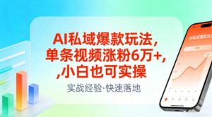 AI私域爆款玩法,单条视频涨粉6W+,小白也可实操-风淘社