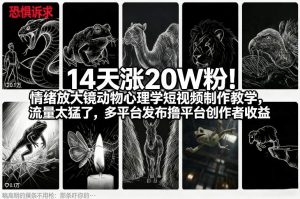 14天涨20W粉!情绪放大镜动物心理学短视频制作教学,流量太猛了,多平台发布撸平台创作者收益-风淘社