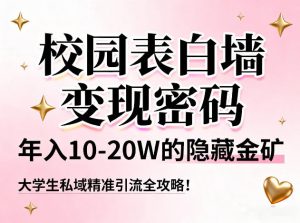 校园表白墙变现密码，年入10-20W的隐藏金矿，大学生私域精准引流全攻略！-风淘社