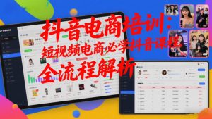 抖音电商培训:短视频电商必学抖音课程,全流程解析-风淘社