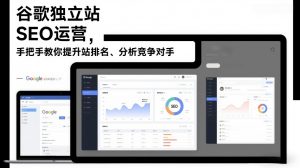 谷歌独立站SEO运营,手把手教你提升网站排名、分析竞争对手(更新2026)-风淘社