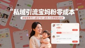 私域引流宝妈粉零成本流程简单月入超过1W+适合小白想做副业的-风淘社