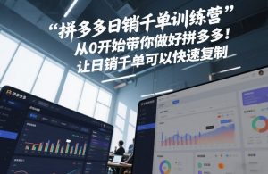 拼多多日销千单训练营,从0开始带你做好拼多多,让日销千单可以快速复制(更新26年1月)-风淘社