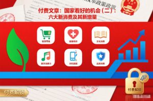 付费文章:国家看好的机会(二):六大新消费及其新增量-风淘社