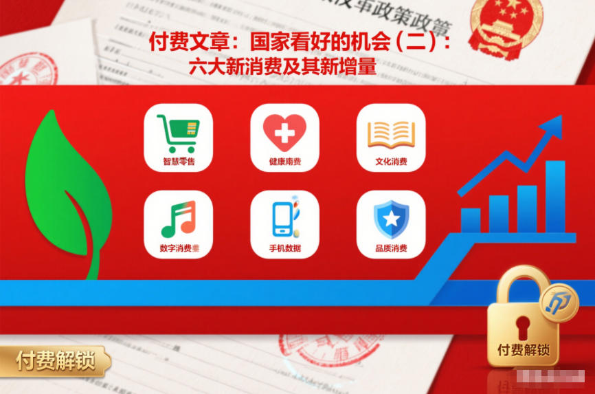 付费文章:国家看好的机会(二):六大新消费及其新增量-风淘社