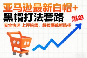 亚马逊最新白帽+黑帽打法套路,安全快速上评秘籍,解锁爆单新路径-风淘社
