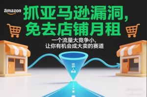 抓亚马逊漏洞，免去店铺月租，一个流量大竞争小，让你有机会成大卖的赛道-风淘社