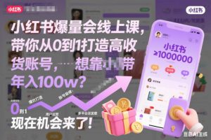 小红书爆量会线上课,带你从0到1打造高收益带货账号,想靠小红书带货年入100w?现在机会来了!-风淘社