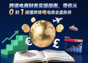 跨境电商财务实操指南,带你从0到1搞懂跨境电商全盘账务-风淘社