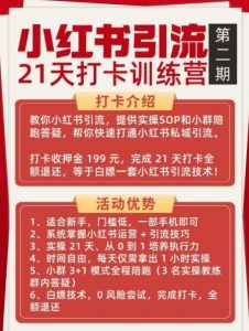 小红书引流21天打卡训练营第二期，助你快速打通小红书私域引流打粉-风淘社