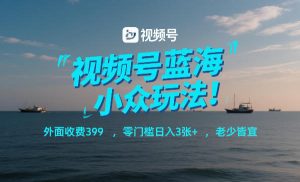 视频号蓝海小众玩法!外面收费399,零门槛日入3张+,老少皆宜-风淘社
