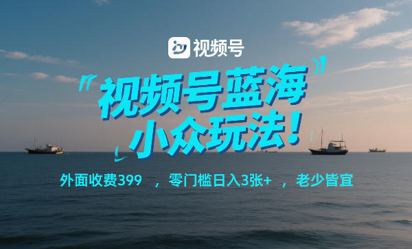 视频号蓝海小众玩法！外面收费399，零门槛日入3张+，老少皆宜-风淘社