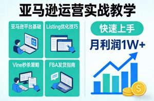 亚马逊运营实战教学，亚马逊平台+Listing优化+Vine秒杀+FBA发货等，快速上手，实现店铺月利润1W-风淘社