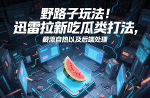 野路子玩法！迅雷拉新吃瓜类打法，截流自热以及后端处理-风淘社