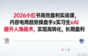 2026小红书高效盈利实战课,内容电商趋势操盘手x实习生xAI,避开人海战术,实现高转化,长期盈利-风淘社