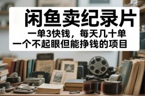 闲鱼卖纪录片,一单3快钱,每天几十单,一个不起眼但能挣钱的项目【揭秘】-风淘社