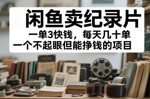 闲鱼卖纪录片，一单3快钱，每天几十单，一个不起眼但能挣钱的项目【揭秘】-风淘社