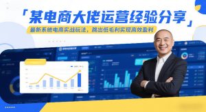 某电商大佬运营经验分享,最新系统电商实战玩法,跳出低毛利实现高效盈利-风淘社
