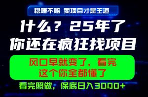 26年,请不要疯狂的找项目做了!卖项目才是真的稳賺不赔,看完照做,保底日入1k+【揭秘】-风淘社