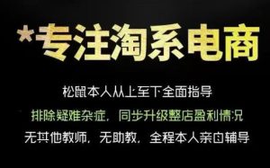 松鼠会电商VIP课程,从基础布局到高阶优化,助你掌握淘宝运营逻辑,提升店铺流量与转化-风淘社