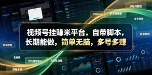 视频号挂賺米平台,自带脚本,长期能做,简单无脑,多号多賺【揭秘】-风淘社